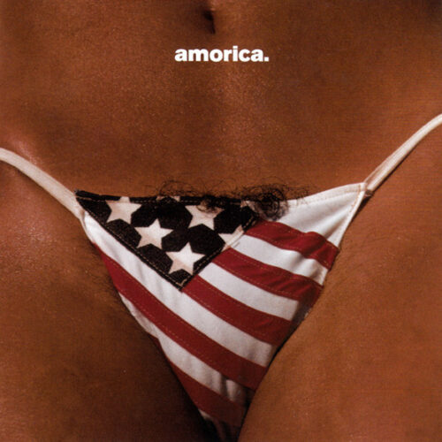 Black Crowes The - Amorica