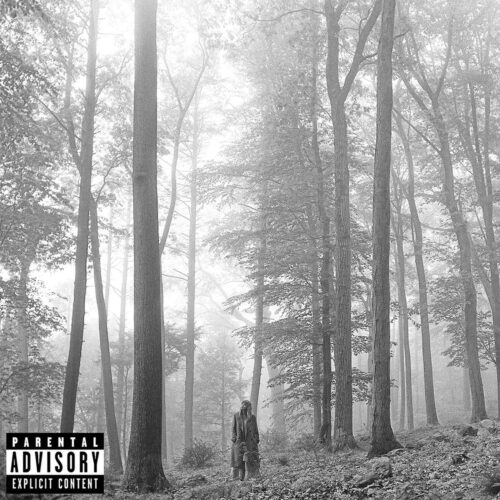 Swift Taylor - Folklore