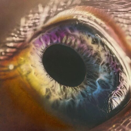 Arcade Fire - We     -    Vinilo
