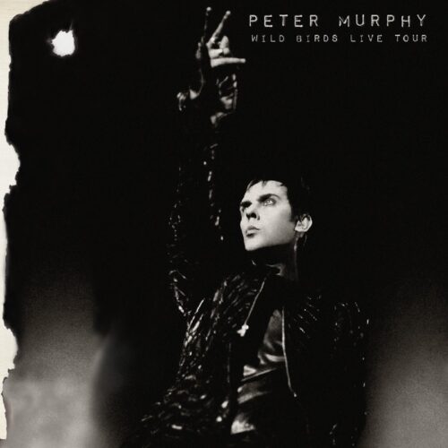 Murphy Peter - Wild Birds Live Tour (2 LPs) - Vinilo