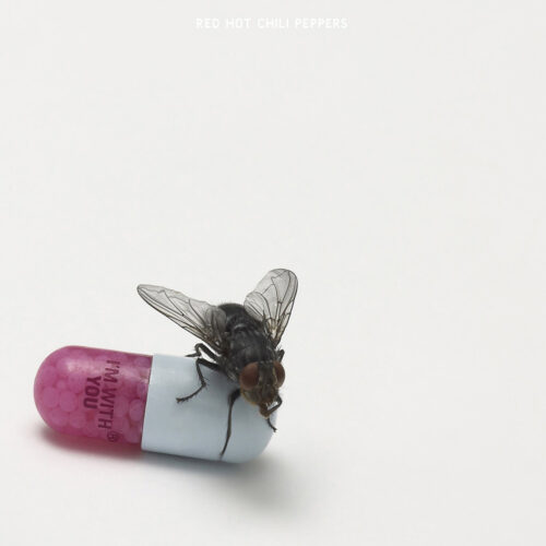 Red Hot Chili Peppers The - I M With You