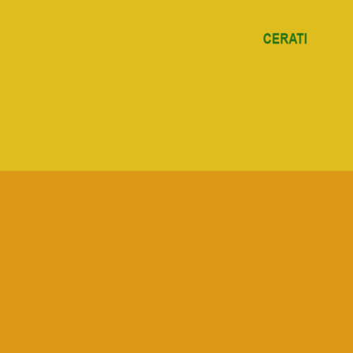 Cerati Gustavo (Soda Stereo) - Amor Amarillo
