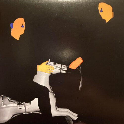MGMT - Loss Of Life     -    Vinilo