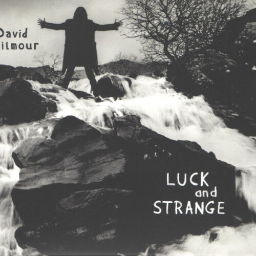 Gilmour David - Luck & Strange     -    Vinilo