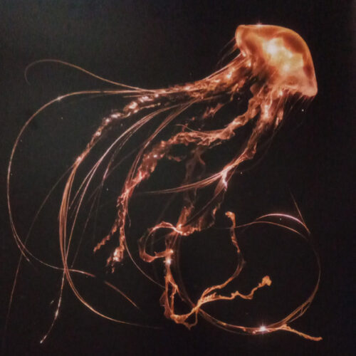 Royal Blood - Back To The Water Below     -    Vinilo