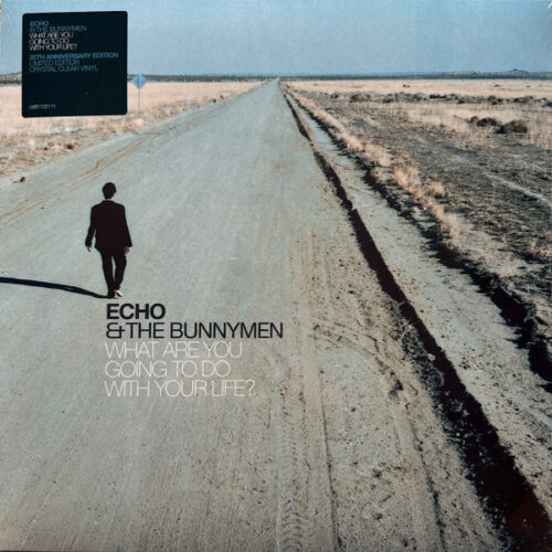 Echo & The Bunnymen - What Are You Going to Do with Your Life     -    Vinilo