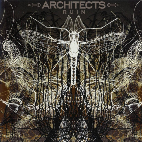 Architects - Ruins