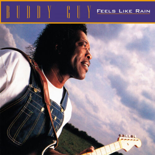 Guy Buddy - Feels Like Rain     -    Vinilo