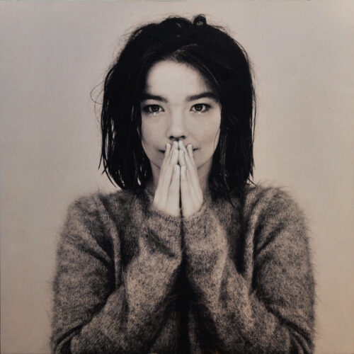Bjork - Debut     -    Vinilo