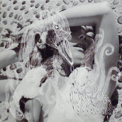 Bjork - Vespertine - Vinilo