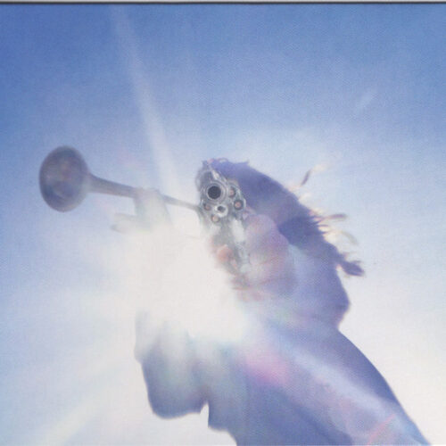 Geese - Getting Killed     -    Vinilo